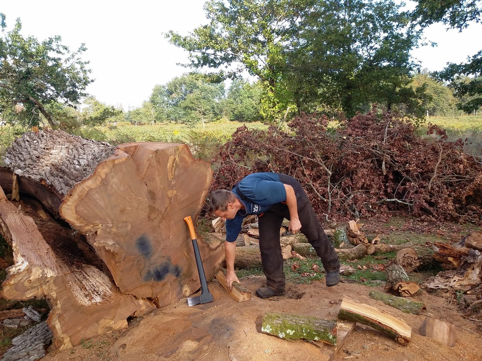 Bois de chauffage Mont de Marsan